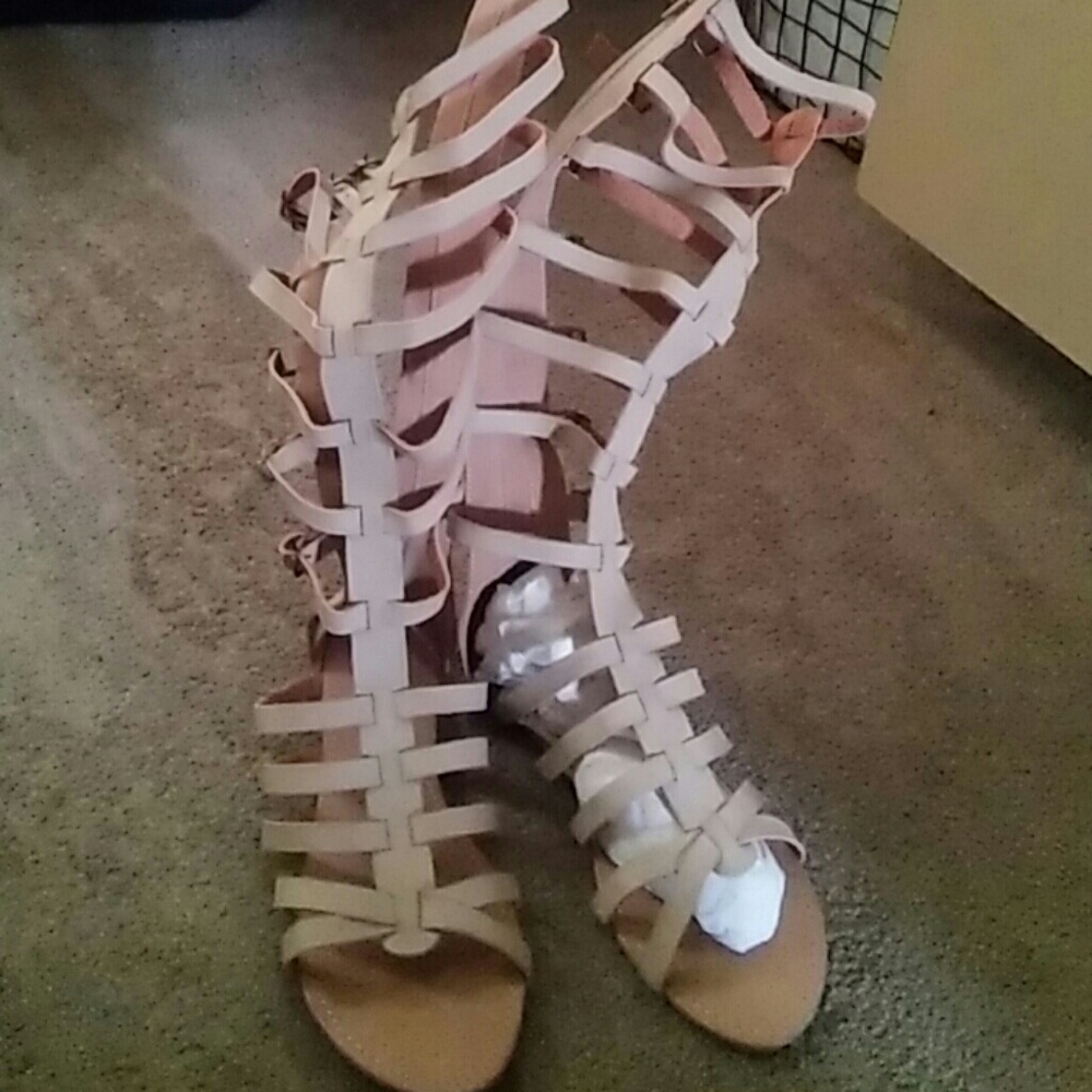 Gladiators - image 1